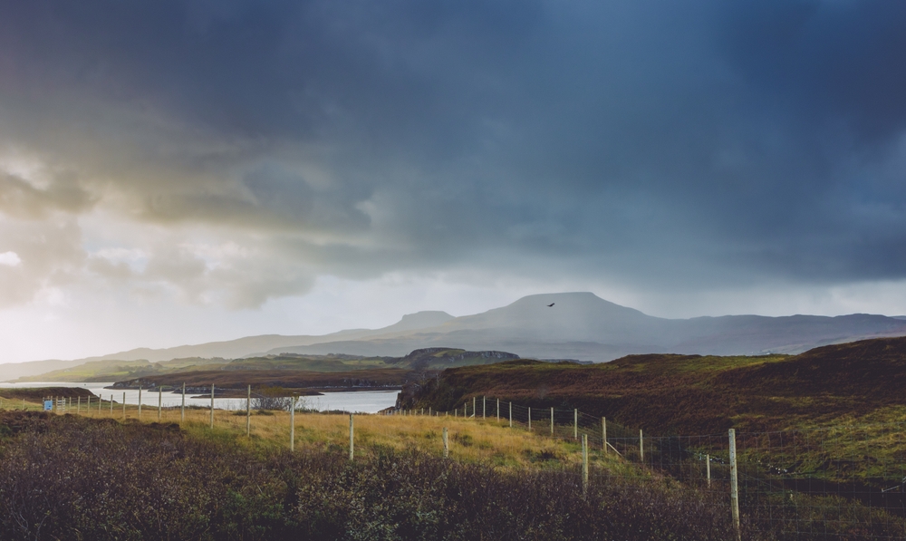 George Rist - Rewilding of Scottish Peatlands